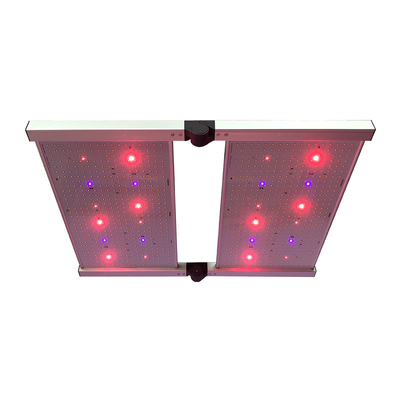 RedFarm 480W 3500K 양자 보드 LED 성장 조명 Samsung LM301H