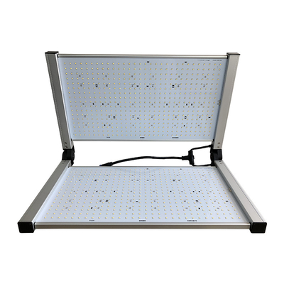 이끌린 480W 원예학은 빛을 성장시킵니다